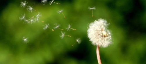 La importancia de la inclusi&oacute;n de las personas con discapacidad