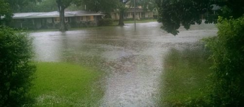 O'Meara Street in Houston as the flood waters rise. (Image credit: Mark R. Whittington)