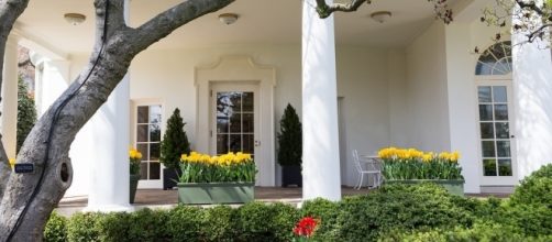 Outside the Oval Office at the White House. / [Image by The White House via Flickr, Public Domain]