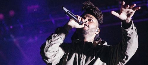 The Weeknd / Photo via Kayla Johnson, Wikimedia