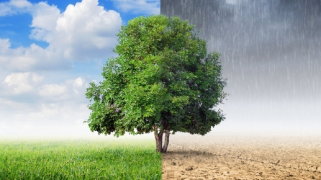 Conferenza di Parigi 2015 - Non sprecare - nonsprecare.it