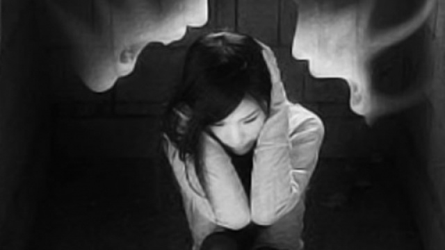 E' possibile spegnere l'area della corteccia che fa "sentire le voci" (https://foggymooncupcake.tumblr.com/)