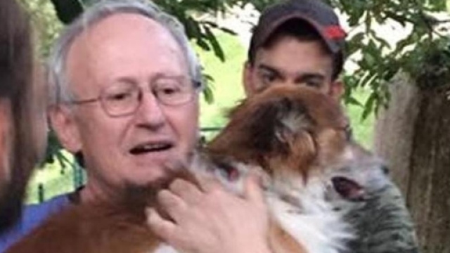 Immagine presa dalla fonte originale