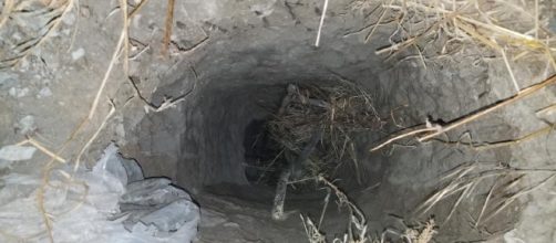 30 arrested on US-Mex border. Tunnel discovered | [Youtube screen grab]