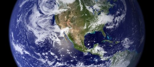 75 Percent of Animal Species to be Wiped Out - Photo: Pexels