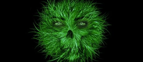 Greed-eyed monster. Image via Pixabay