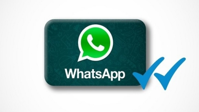 WhatsApp: arrivano i profili business "verificati" e la spunta verde: ecco di cosa si tratta.