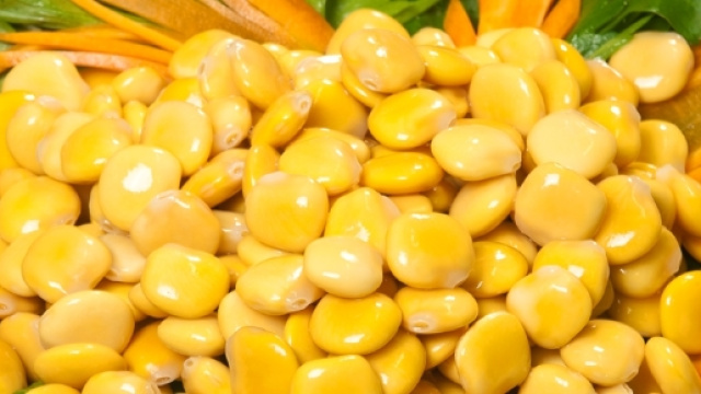 Lupini stimolano secrezione di insulina