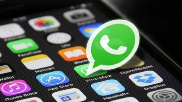 WhatsApp: in arrivo le spunte verdi per gli account verificati delle aziende - Credits: HeikoAL/PD