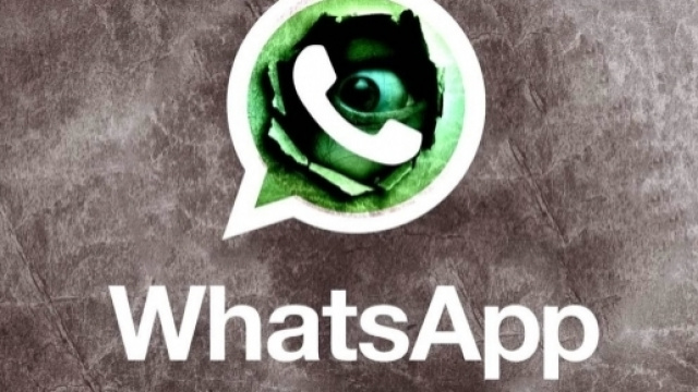 WhatsApp: una falla di sicurezza potrebbe rendervi ricchi