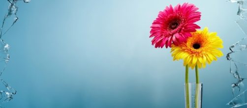 Digital, Art - Free images on Pixabay - pixabay.com