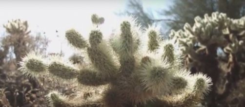 Image by JefErickson/YouTube screencap.