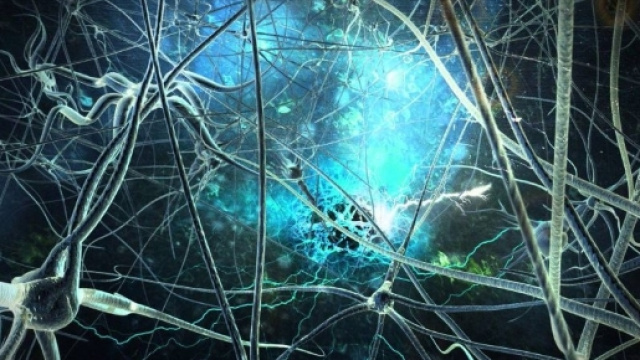 Comprendre les causes biologiques du vieillissement et de la ... - longlonglife.org