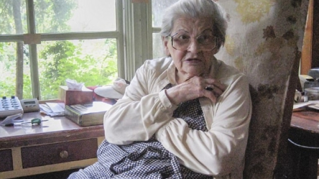 Frances Gabe: la donna passata alla storia per la sua casa autopulente.