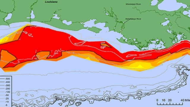 Golfo del Messico : la "Death Zone" pi&ugrave; grande del mondo
