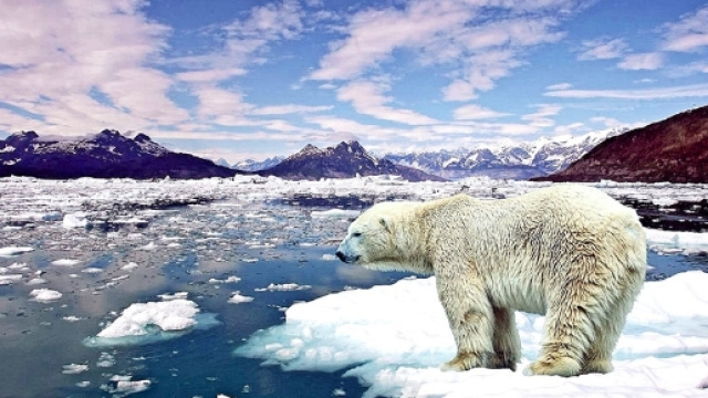 RIscaldamento globale, un recente studio lancia l'allarme: "scenari apocalittici".