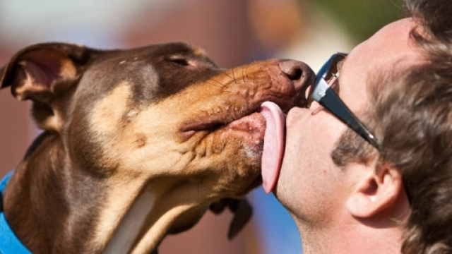 Rubrica_Alimentazione e Salute | Simpatiche Canaglie - simpatichecanaglie.org