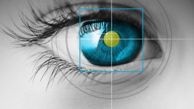 Vitasta India, Eye tracking and Assistive Healthcare for the ... - vitastaindia.com