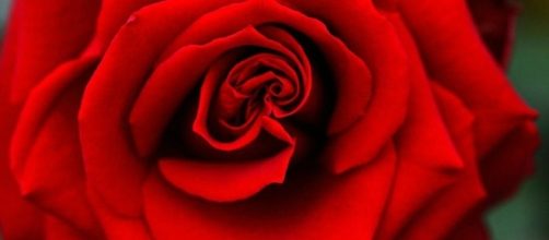 Bachelor' Spoilers: Pic from Wikimedia Commons