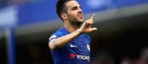 Chelsea midfielder Cesc Fabregas. [Image via Wikimedia Commons]