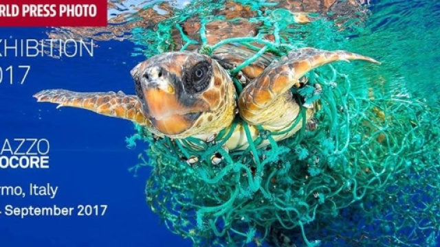Locandina dell'esposizione fotografica