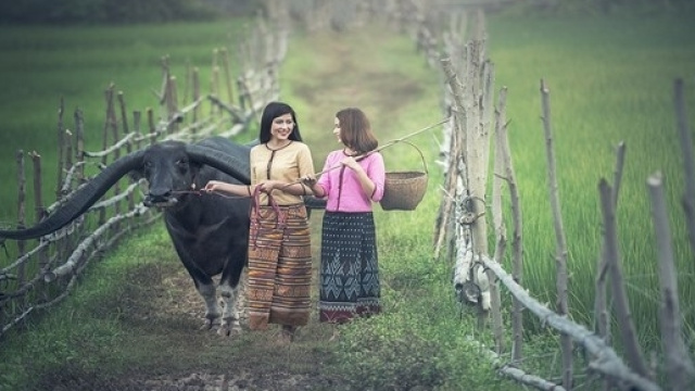 Professioni e lavori strani nel mondo