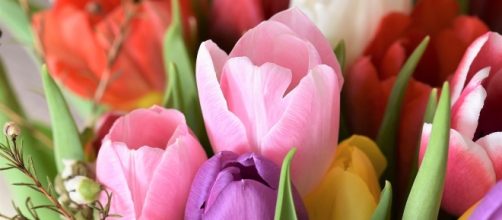 Image via MaxPixel Creative Commons CC0