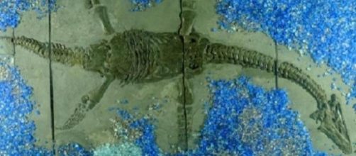 Researchers create robotic mechanism to probe swimming style of plesiosaur [Image via Luke Muscutt/YouTube screencap]