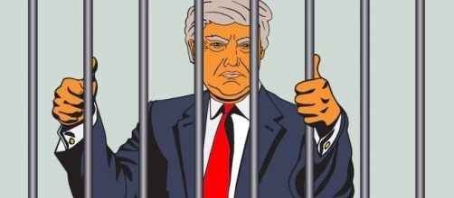 Trump behind bars / [Image by Perlinator via Pixabay, CC BY 0.0]