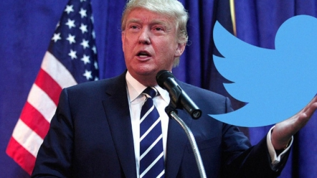 donald-trump-twitter-follow | The Bubble | Argentina News - thebubble.com