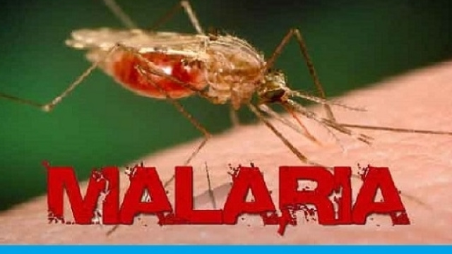 Sempre pi&ugrave; efficiente la lotta alla malaria, sia nella profilassi, con il primo vaccino, che nella terapia, con l&rsquo;uso di combinazione di farmaci.
