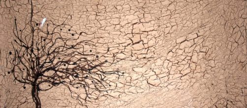 Earth could warm by 2 degrees by the end of this century / Photo via John William, Flickr