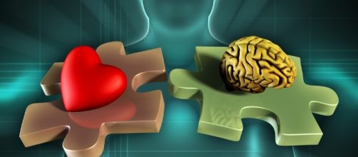 Emotional Intelligence Training: How to Develop Emotional Intellegence - udemy.com