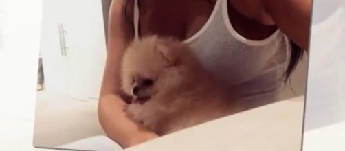 Kanye West photobombs Kim Kardashian and Sushi, the puppy- California News Youtube Channel