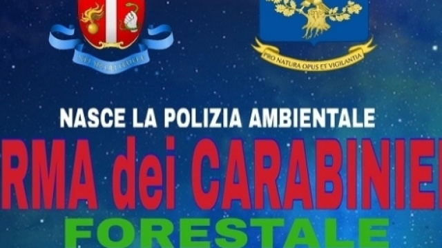 Concorso Forestale dell'Arma dei Carabinieri: reclutamento a settembre 2017