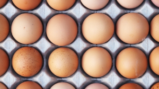 Uova: contaminazione con il fipronil. E' allerta in tutta Europa