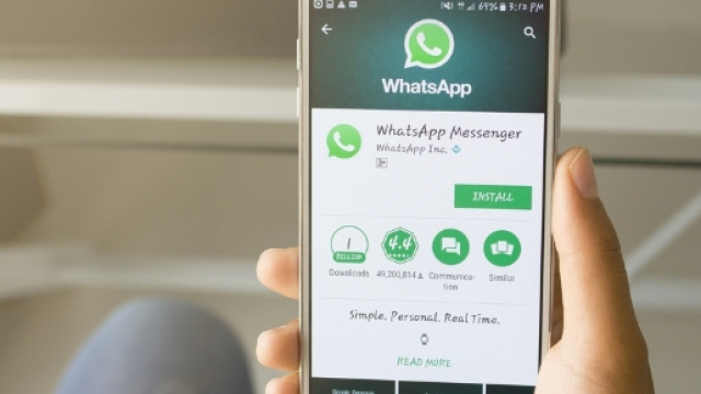 WhatsApp, ecco la tratta del cioccolato.