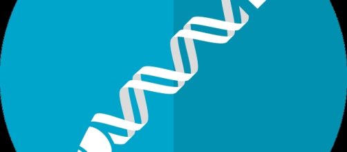 Creative Commons image via Pixabay