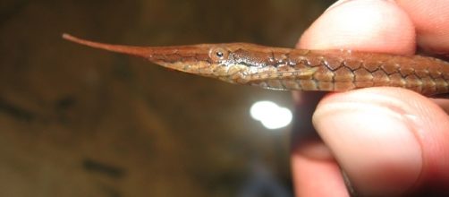 Hello, from me to you Pisces! Today is all about looking within yourself. - Image via pixabay.com