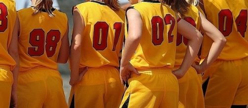 Mechanicsville, Virginia girls softball team disqualified for social media posting [Image: pixabay.com]