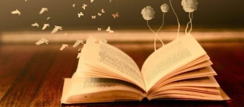 Un ni&ntilde;o lucha contra la ignorancia si tiene lo necesario.