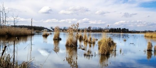 An 11-year-old Idaho boy drowned while trying to save his teenage brother/Photo via Johan Neven, Flickr