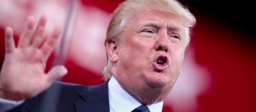 Trump and the wall. - Gage Skidmore/Flickr