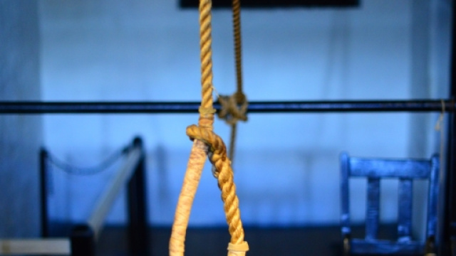 Copyright ArtwithTammy. Cappio e nodo scorsoio, richiamo alle violenze subite dai due cani in Calabria.