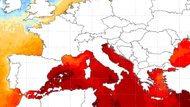 Le altissime temperature, sino a +29&deg;C, registrate sui mari italiani