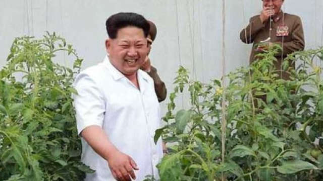 Lo stile di vita del dittatore nordcoreano