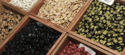 Photo by Neil Palme via Wikimedia Commons CC BY-SA 2.