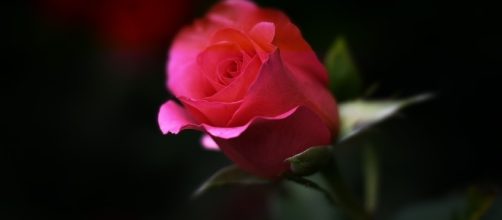 Romance - Free images on Pixabay - pixabay.com