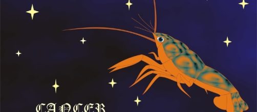 Daily horoscope -- - pixabay.com