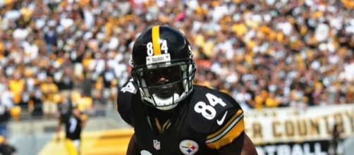 Antonio Brown | More photos here: brook-ward.com/blog/2014/9&hellip; | Flickr - flickr.com